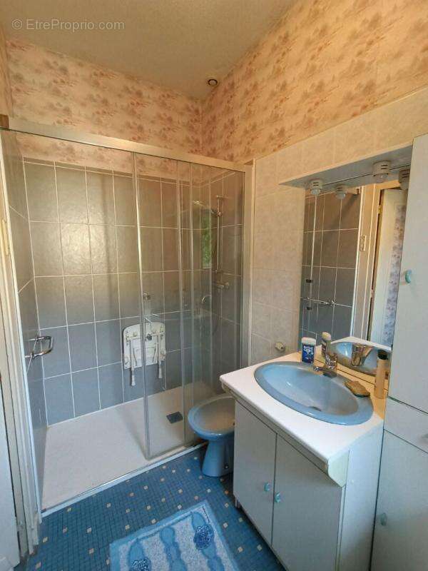 Maison à SELLES-SAINT-DENIS