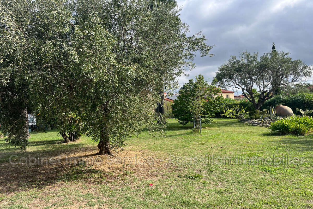 Terrain 632 m² à Ceret  - photo 7