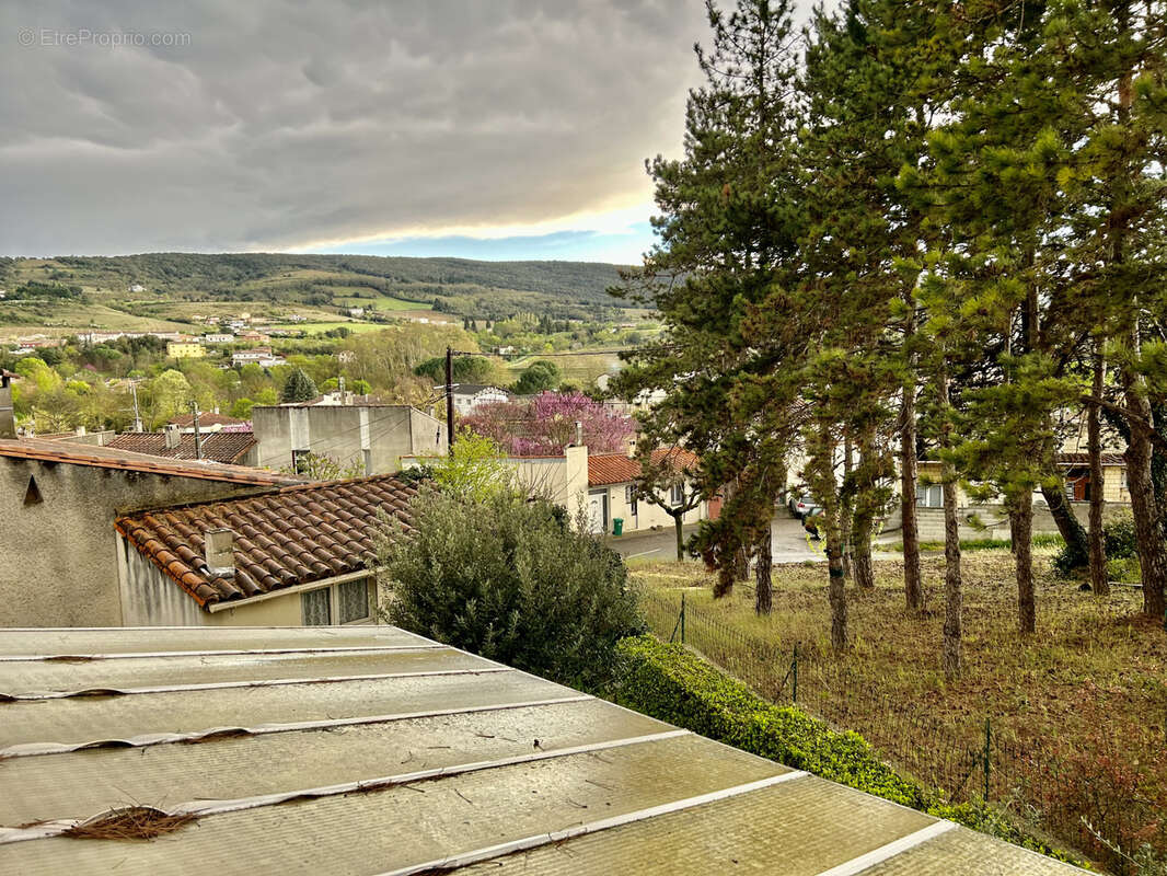 villa avec jardin - photo 16