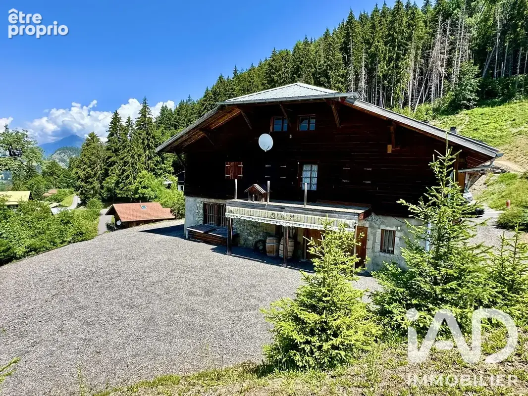 Photo 1 - Maison à ARACHES-LA-FRASSE