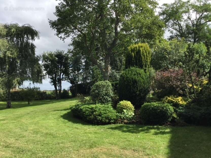 Maison à BU
