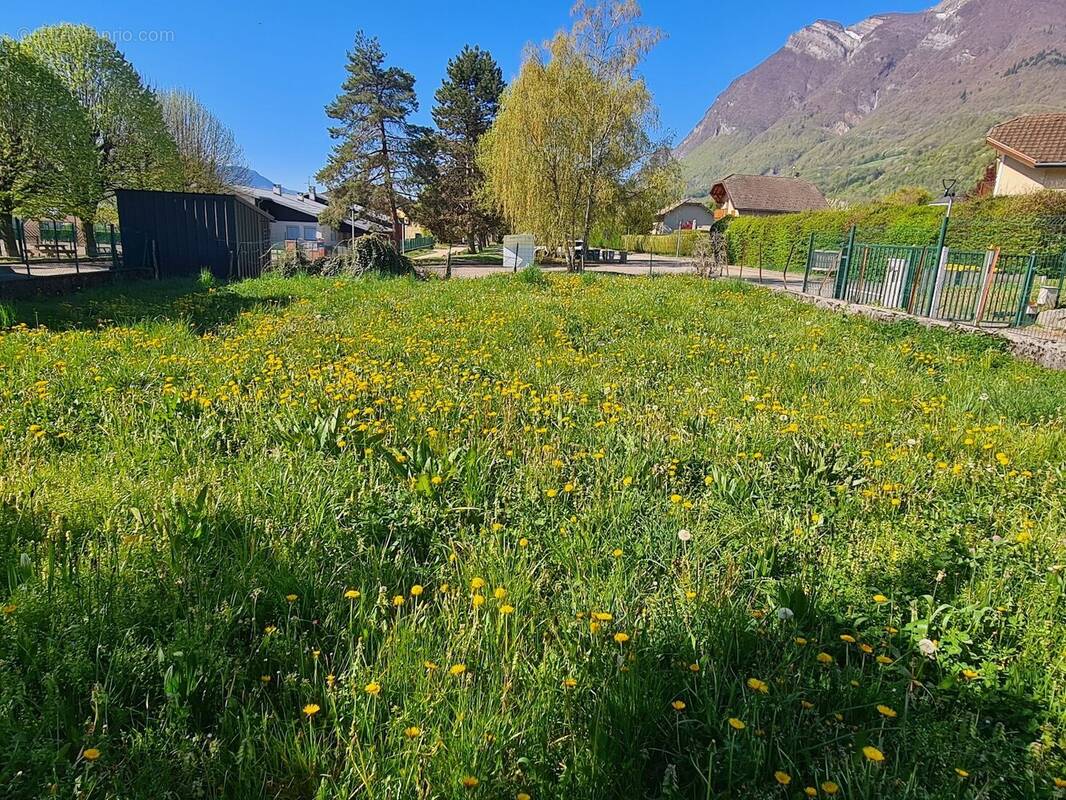 Terrain à FRONTENEX