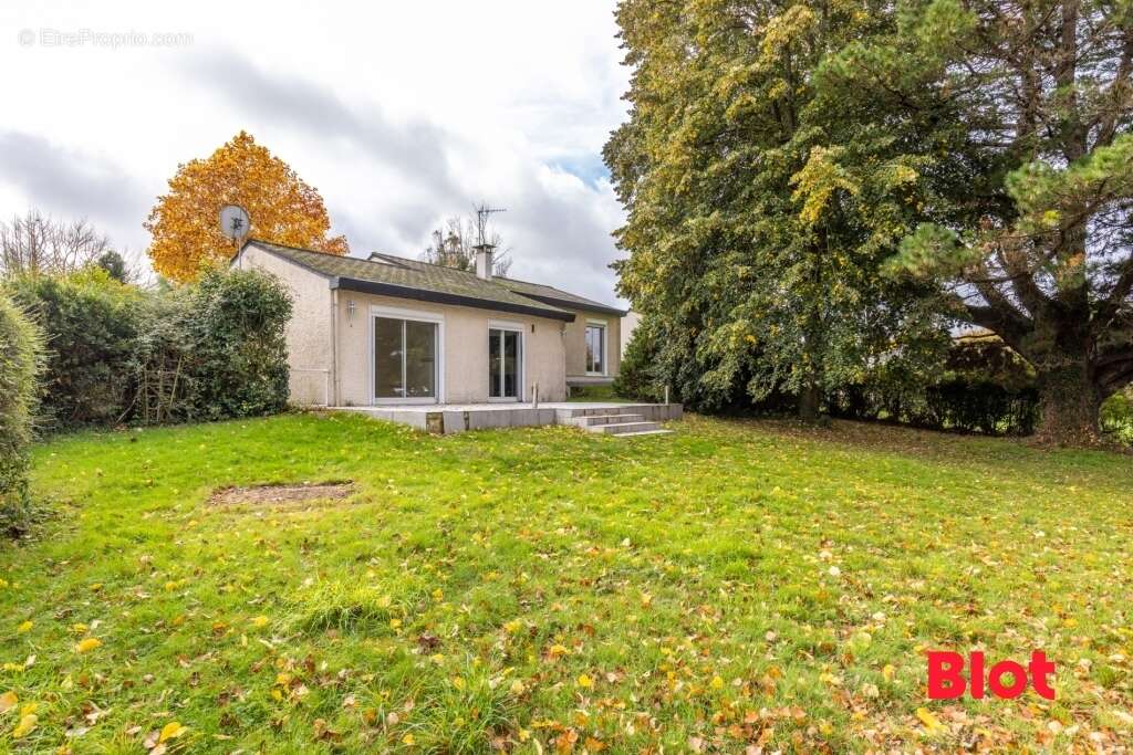 Maison à BETTON