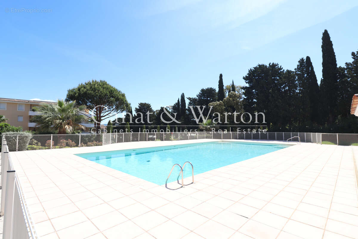 Résidence de standing à quelques pas du centre avec piscine: t2 rez de jardin a cavalaire - photo 2