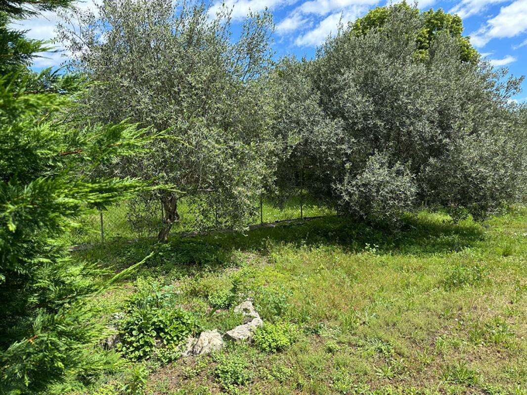 Maison  en Pierre Chandolas - photo 17