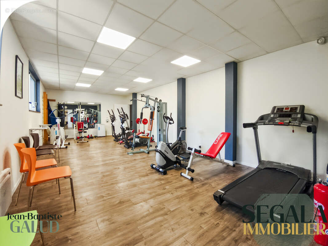 BLAYE LES MINES - Local professionnel 420 m2 - photo 7