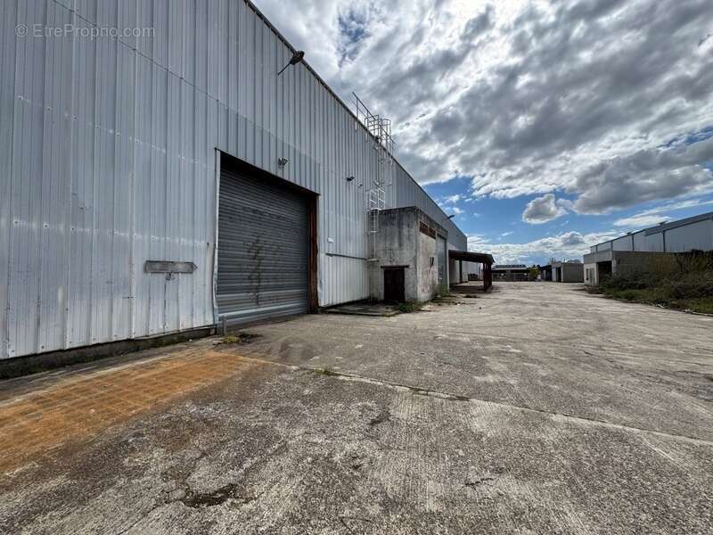 Commerce à CASTELCULIER