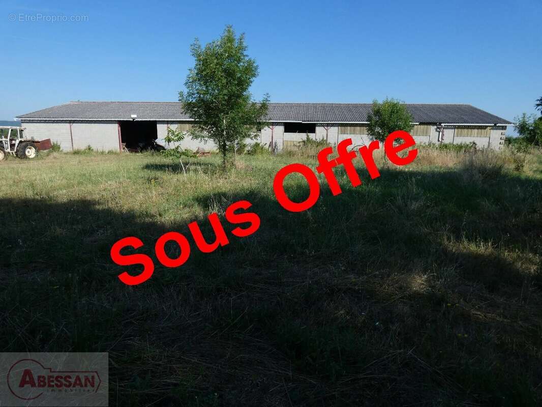 Commerce à CORDES-SUR-CIEL