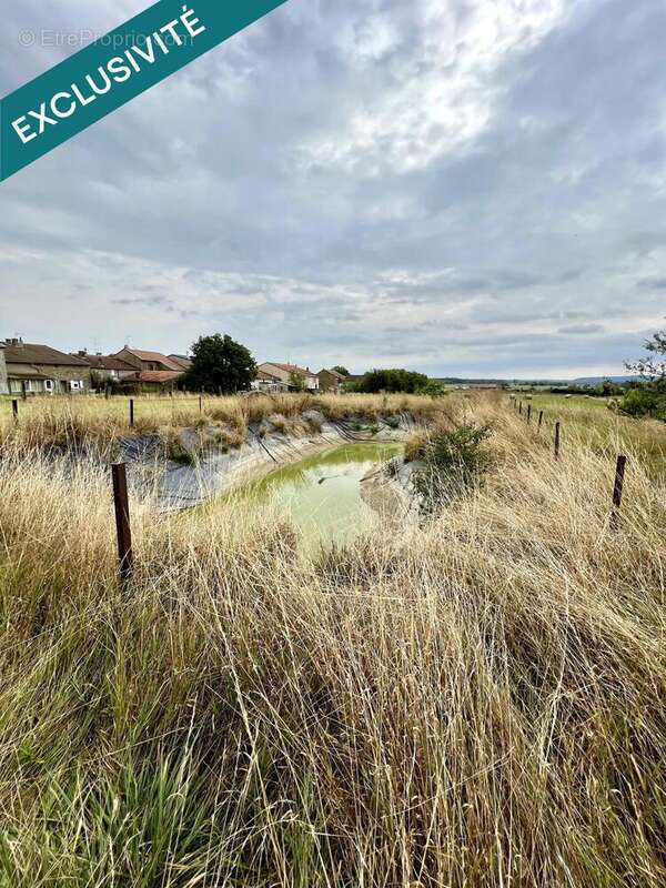 Photo 5 - Appartement à MANGIENNES