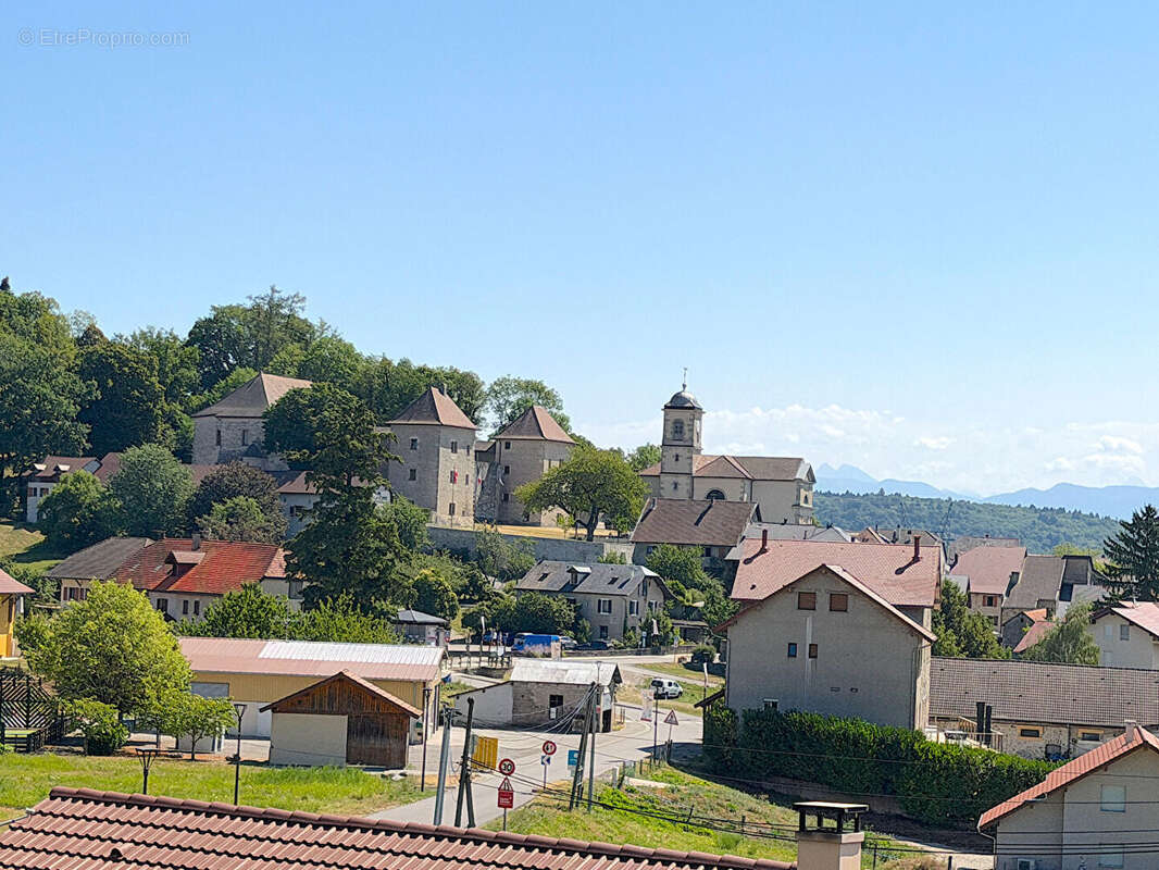 Coup de coeur à Clermont-en-Genevois - L'alliance parfaite entre charme savoyard, panorama d'exception et sérénité absolue - photo 14