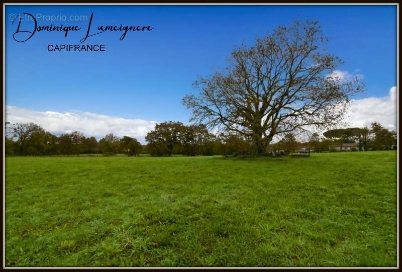 Terrain à PEYREHORADE