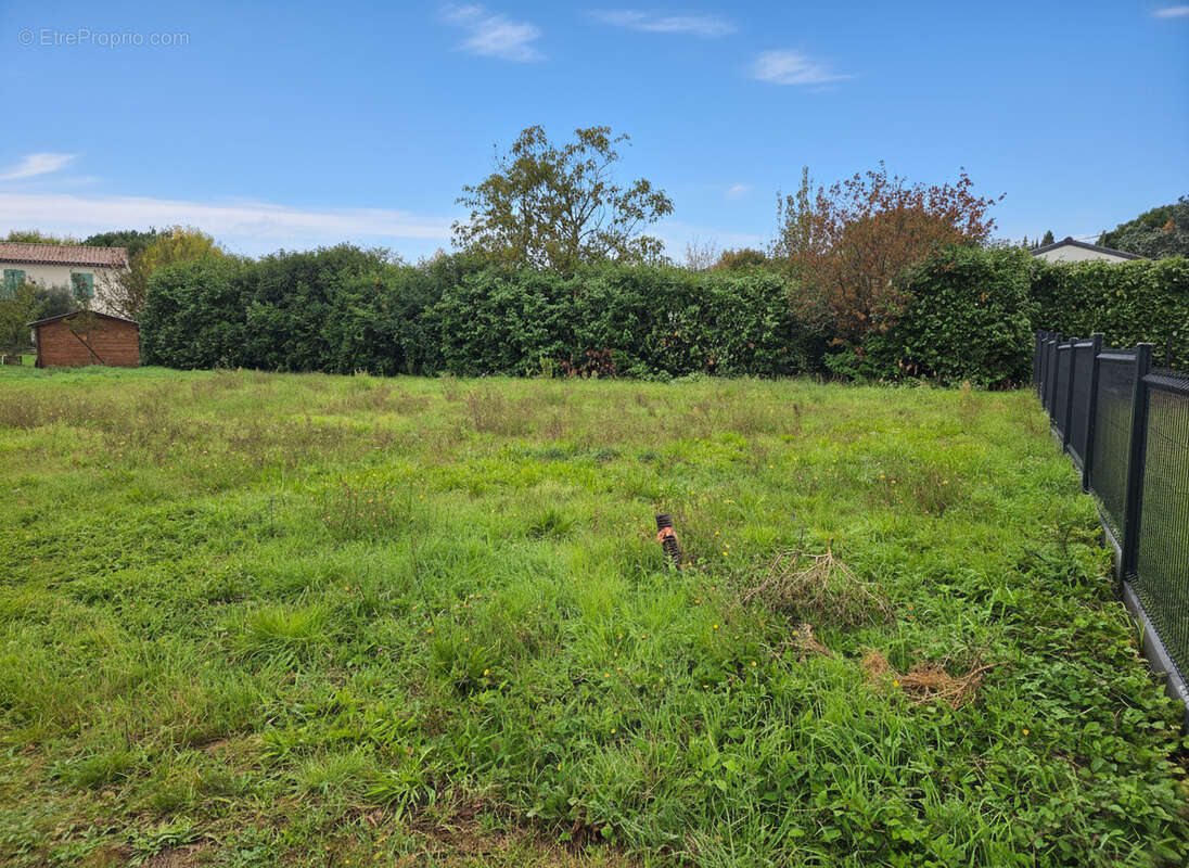 2 - Terrain à MENVILLE
