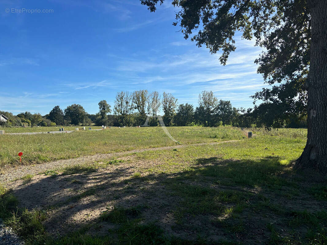 Terrain à SAINT-MARS-DU-DESERT