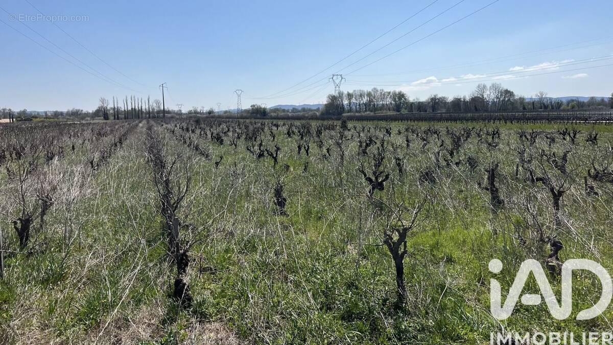 Photo 1 - Terrain à CODOLET