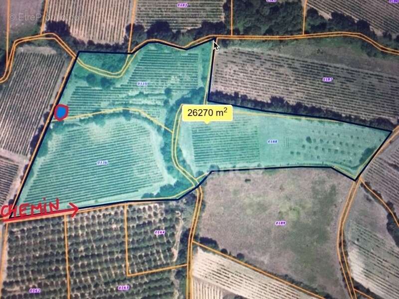 Terrain à ALIGNAN-DU-VENT