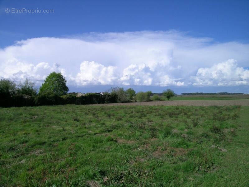 Terrain à HAGETMAU