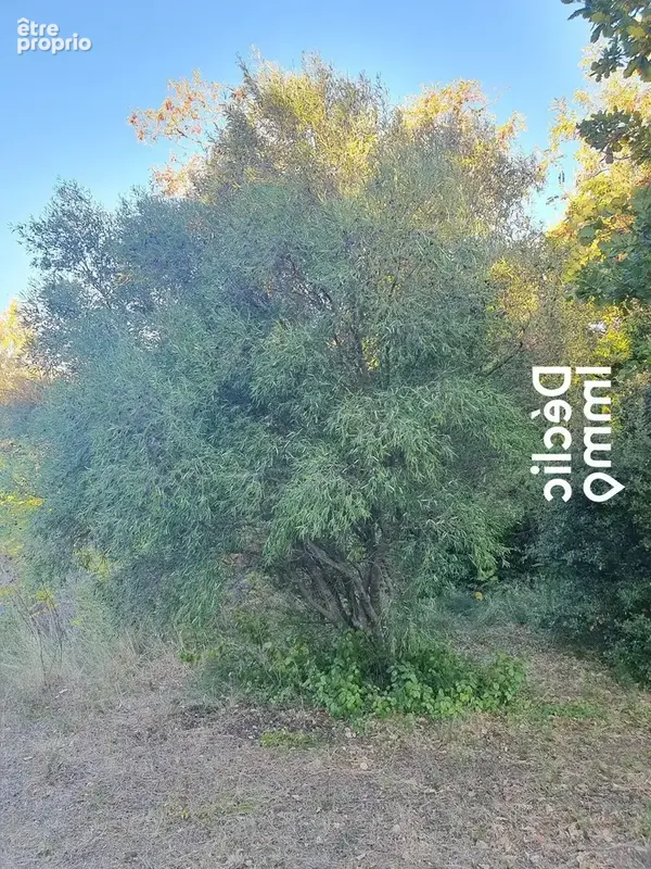 NEFFIÈS  Terrain constructible de 2 170 m² dans un environnement naturel privilégié - photo 7