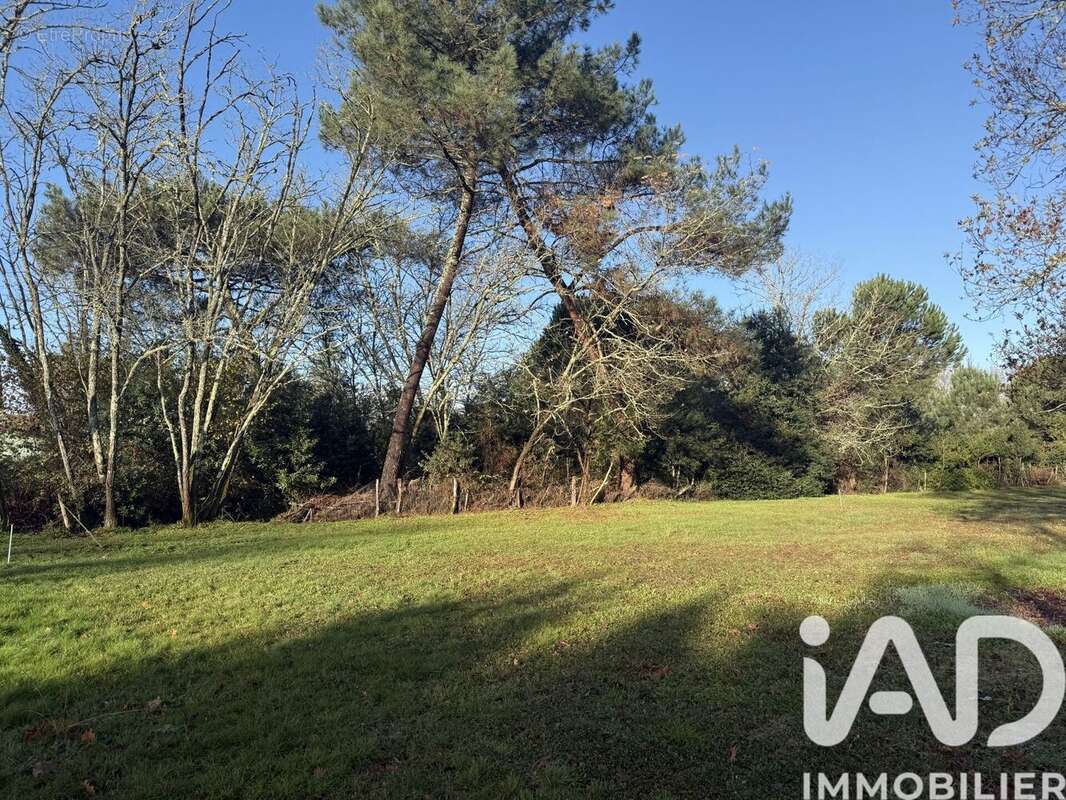Photo 2 - Terrain à LE BARP