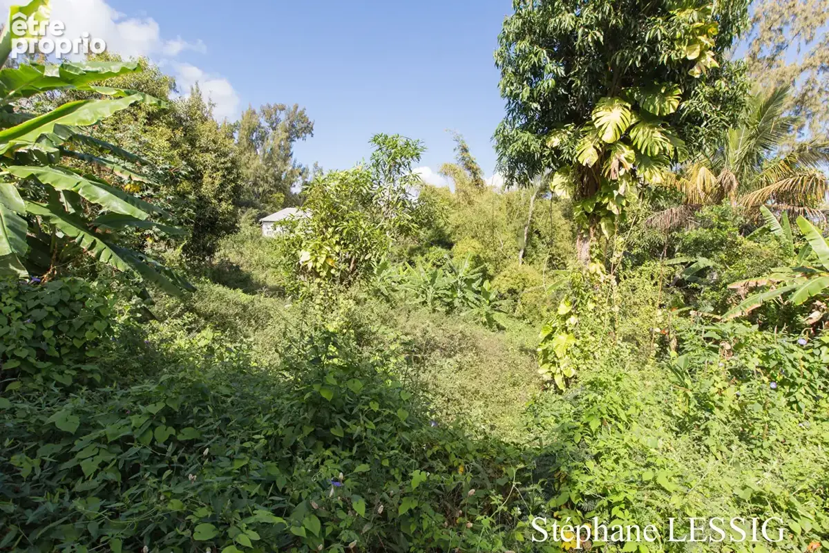 TERRAIN constructible 2803 m2 à La Possession - photo 3