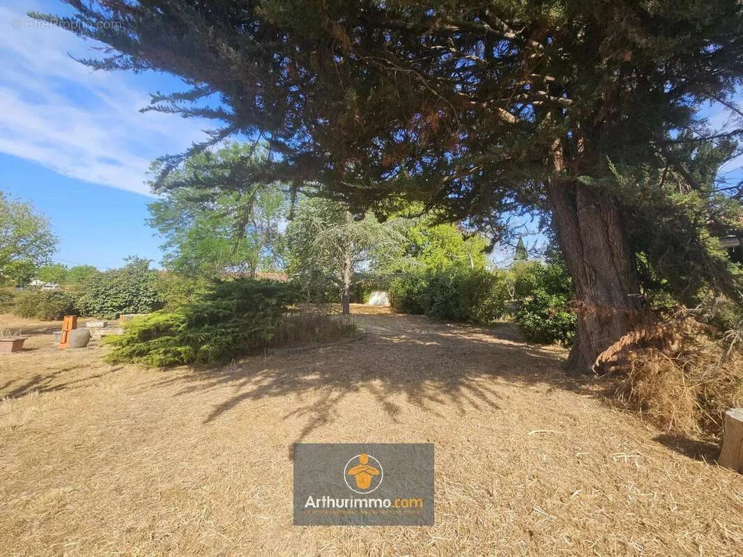 Vente Terrain Saint-jean-de-liversay(17170) 89 000ï¿œ - photo 3