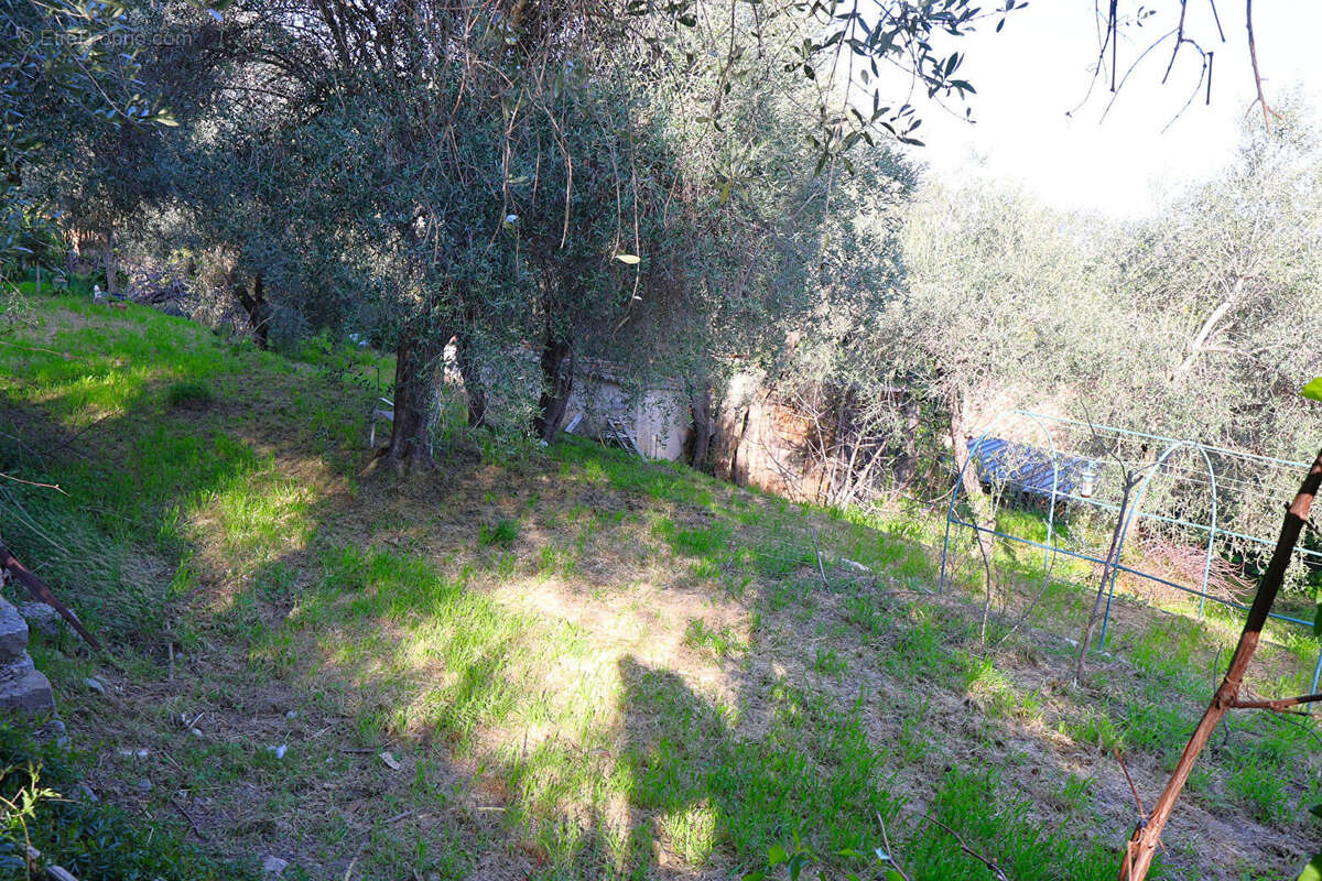 Terrain à SPERACEDES