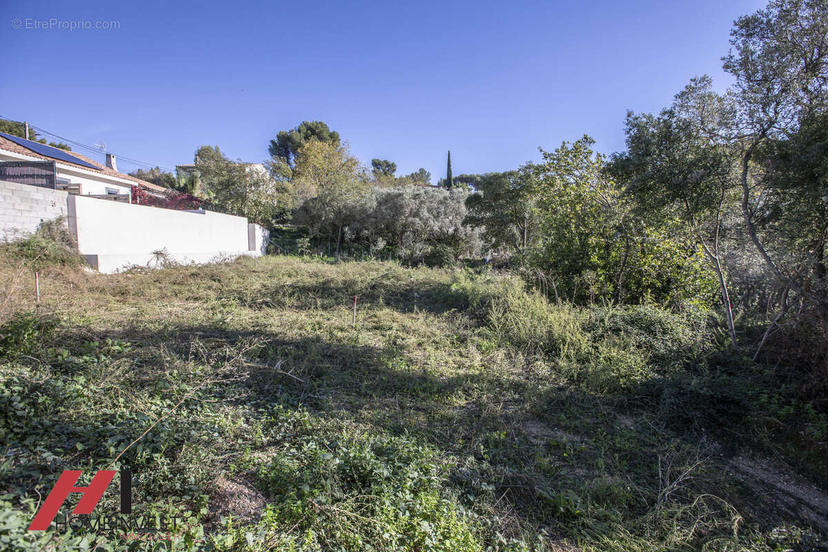 Terrain à MARSEILLE-12E