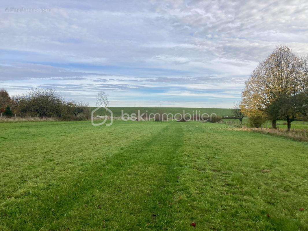 Terrain à GIFFAUMONT-CHAMPAUBERT