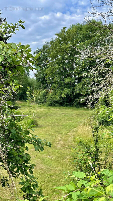 Maison de village avec bord de rivière - photo 28