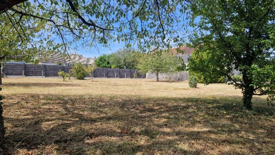 Terrain à REIGNAC-SUR-INDRE