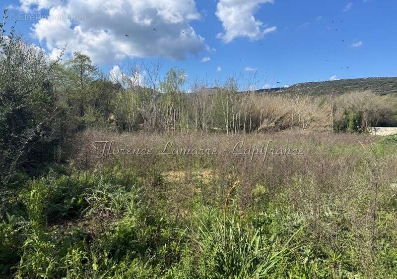 Terrain à SPELONCATO