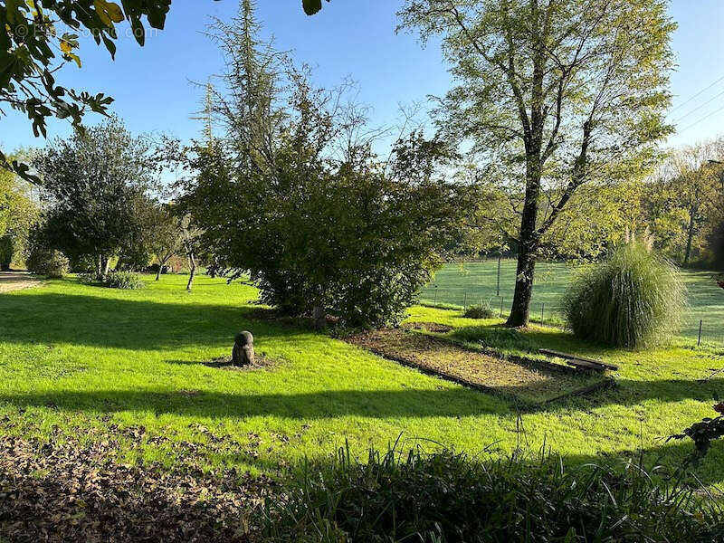 Belle maison en pierre  avec piscine.   Maison avec grand  jardin, gite et piscine - photo 3