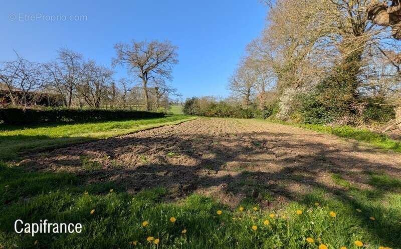 Longère familiale 210 m² + dépendances – Terrain 2 600 m² – Projet de vie ou gîtes - photo 17