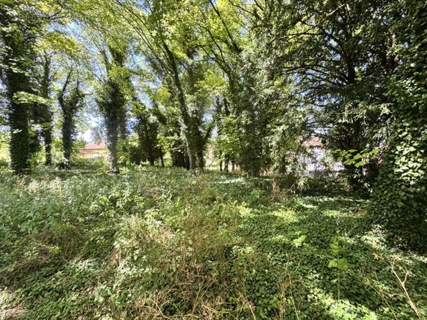 Terrain 1922 m² à Pontfaverger-Moronvilliers  - photo 4