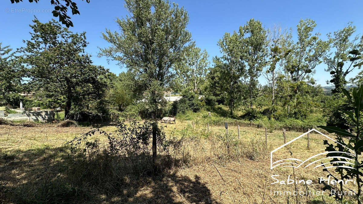 Terrain à MIRANDOL-BOURGNOUNAC