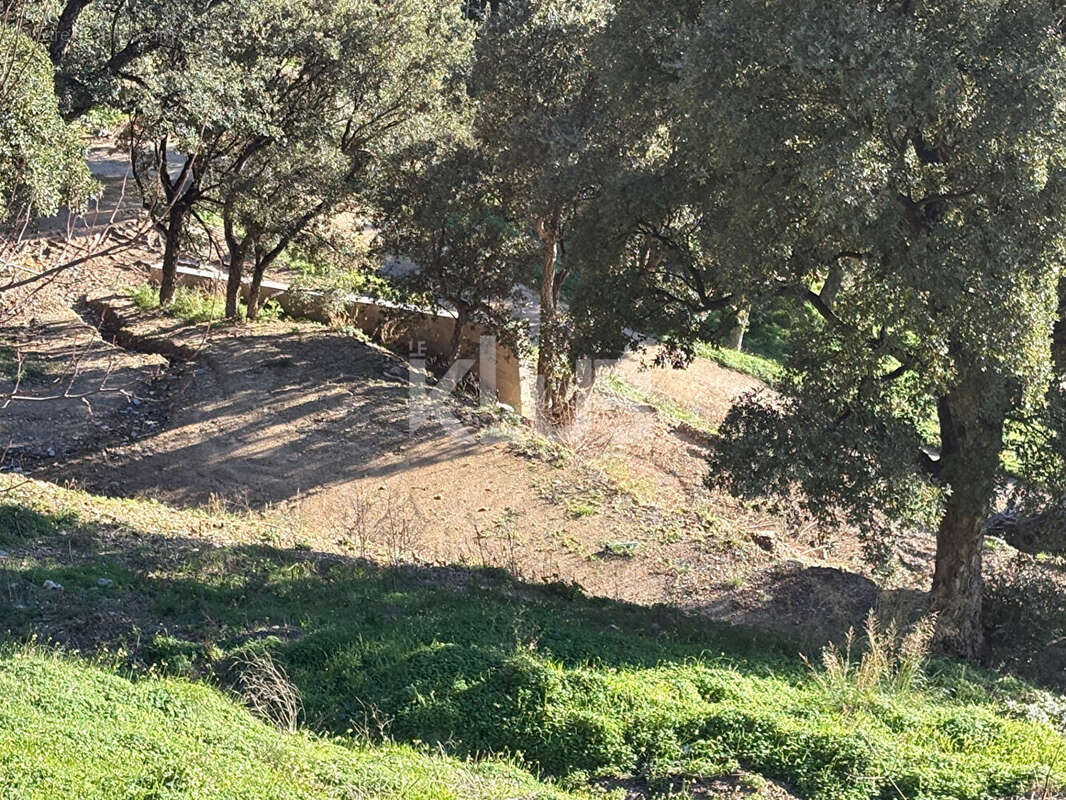 Terrain à POGGIO-D'OLETTA