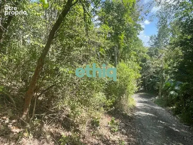 Photo Terrain à Le Gosier au prix de 387 000€
