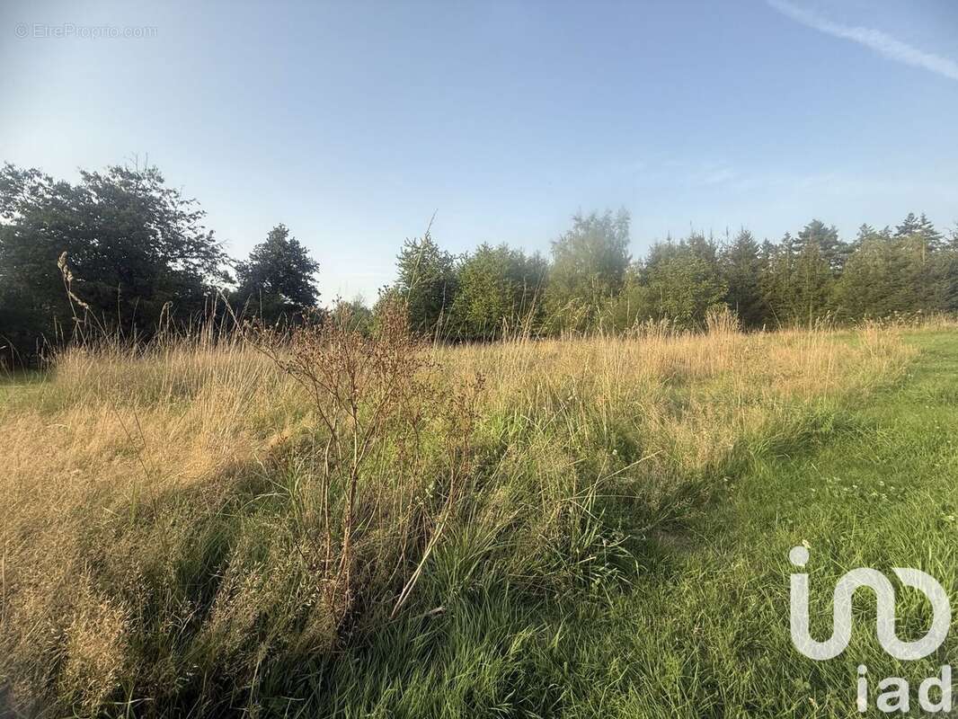 Photo 3 - Terrain à HARGARTEN-AUX-MINES