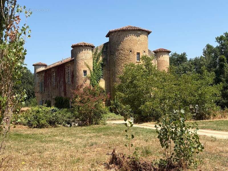MARCIAC(32): ancienne SEIGNEURIE avec BEAU CHATEAU XIV sur 3,5ha, cachée, au bout du chemin, sans voisin, en campagne, 500m2 hab - photo 15