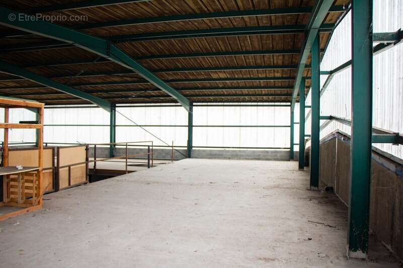 Commerce à AUSSILLON