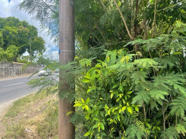 Terrain à PETIT-CANAL