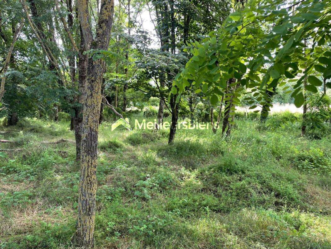 Terrain à PEYZIEUX-SUR-SAONE