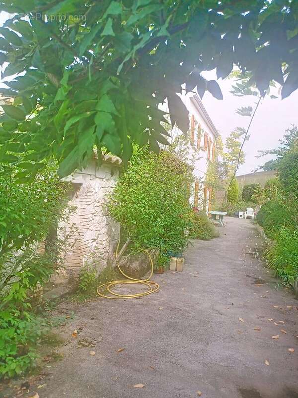 Photo 3 - Maison à REALMONT