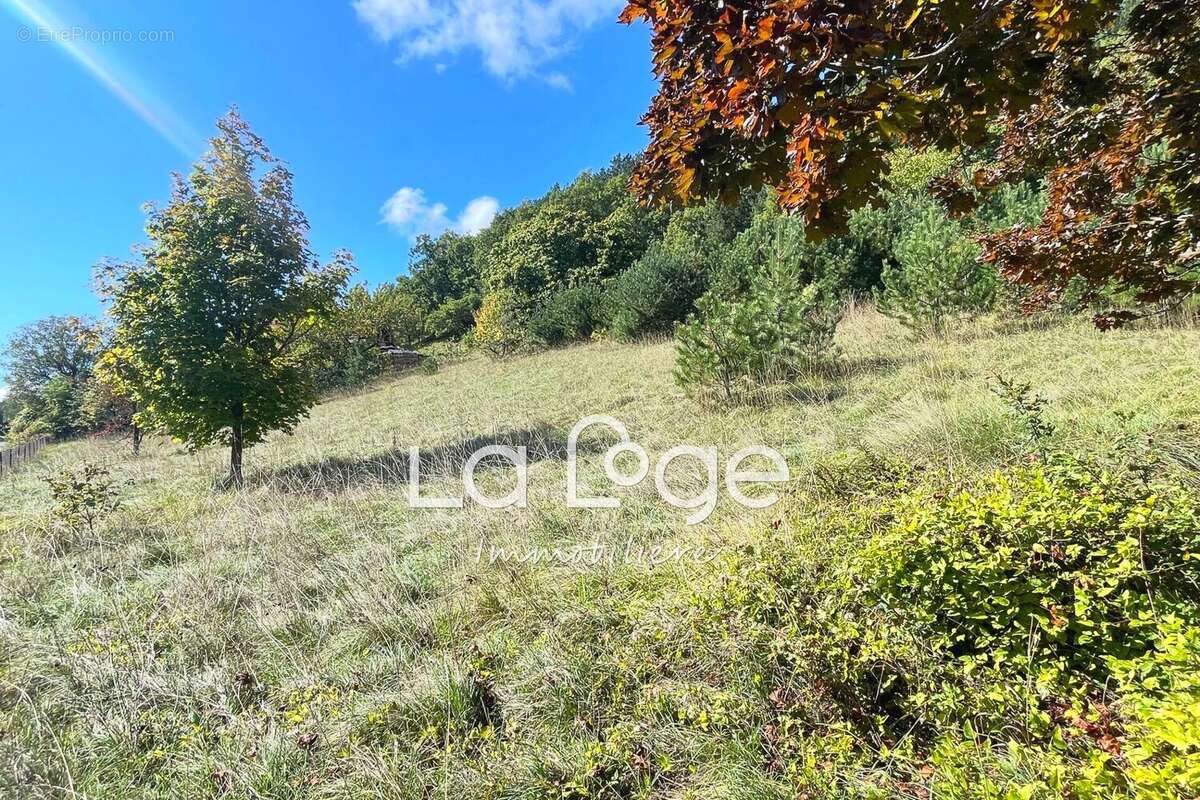 Terrain à LA FREISSINOUSE