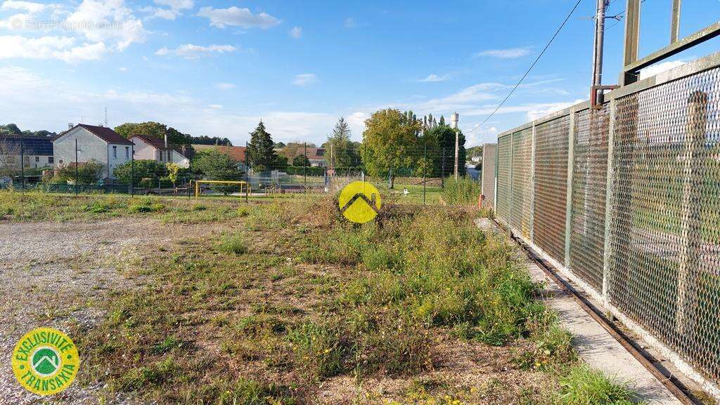 Commerce à RAVIERES