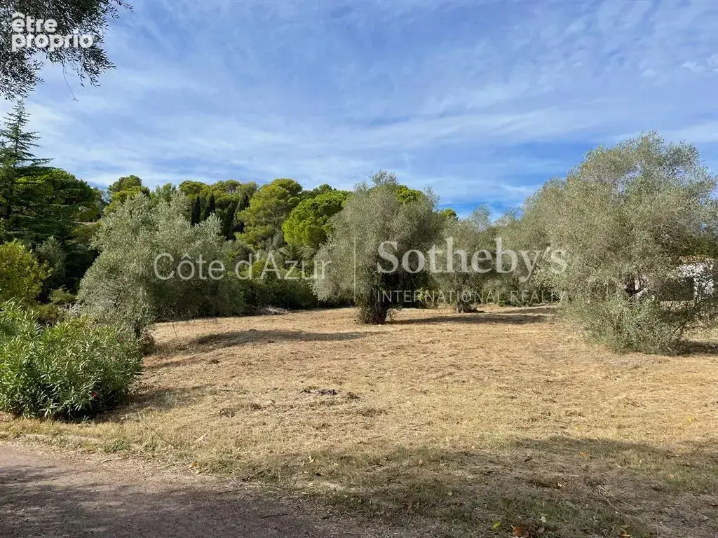 Projet de 3 villas contemporaines sur 35 233 m² - photo 11