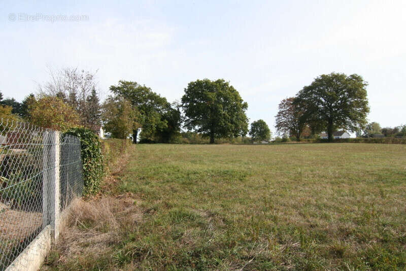 Terrain à LA NOCLE-MAULAIX