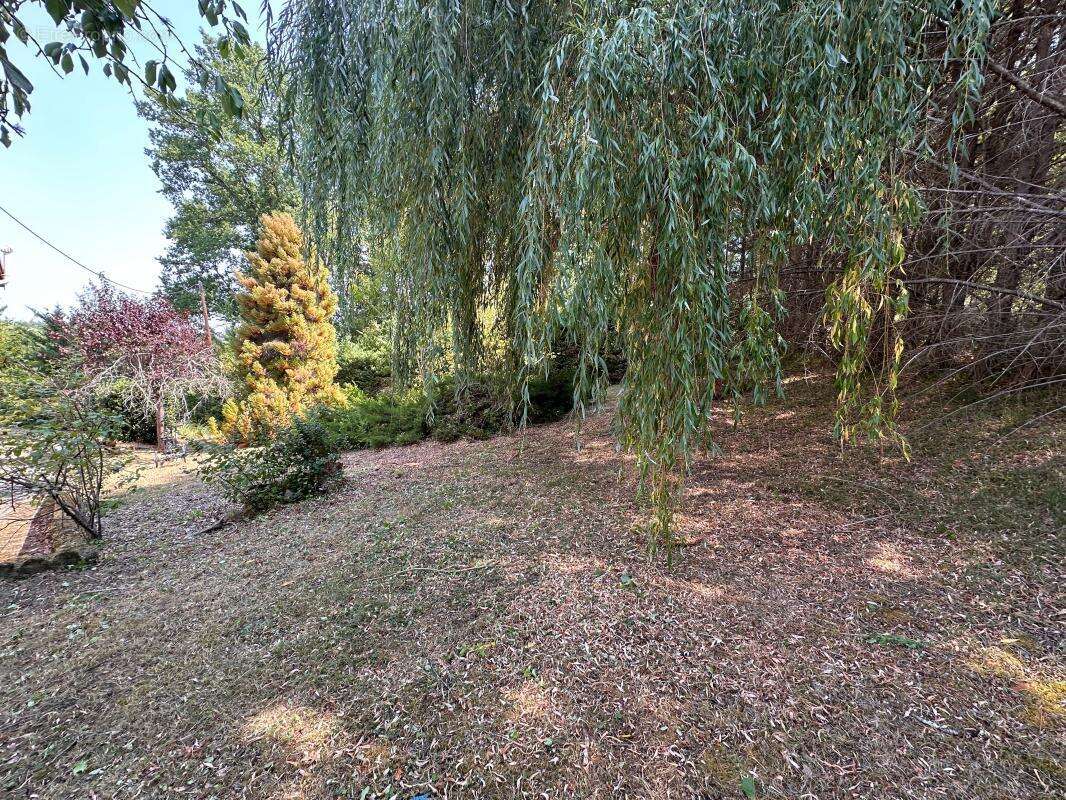 Maison 4 chambres, grand jardin - photo 23