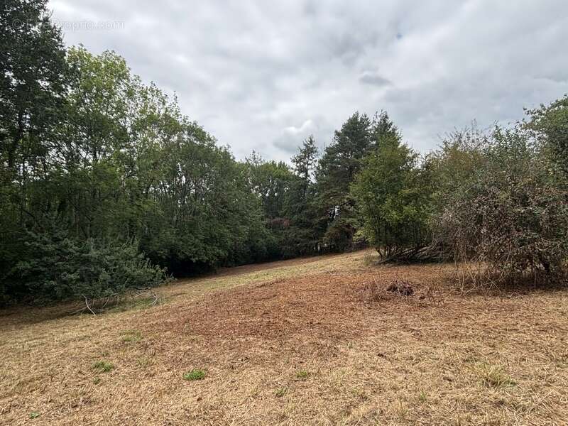 Terrain à vendre de 2 247,00 m²  () - photo 8