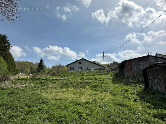 Maison 140 m² à Manzat  - photo 14