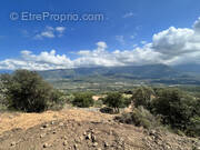 Terrain à MONTICELLO